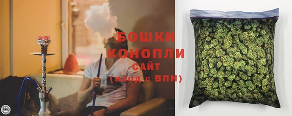 сатива Верхний Тагил