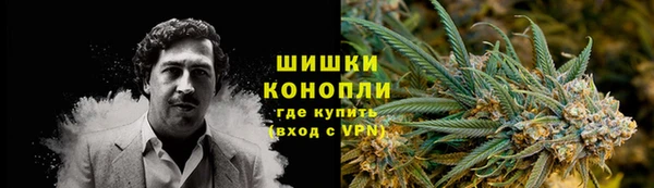 сатива Верхний Тагил