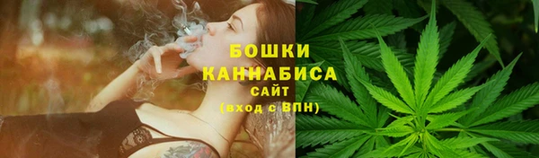 сатива Верхний Тагил