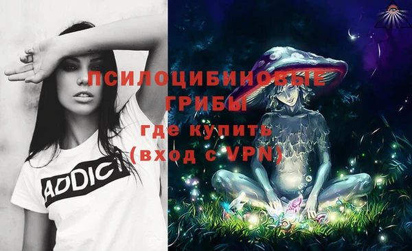сатива Верхний Тагил