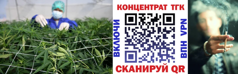 ТГК концентрат  наркотики  Чекалин 