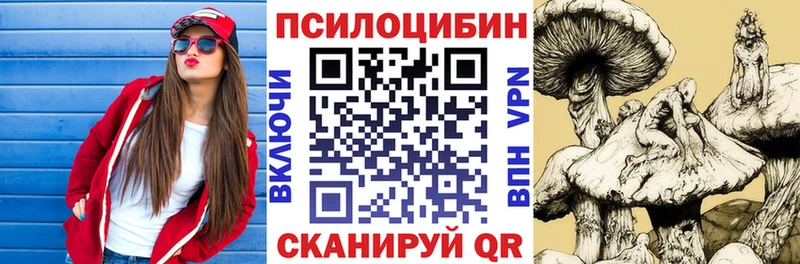 где продают наркотики  Чекалин  Галлюциногенные грибы Magic Shrooms 